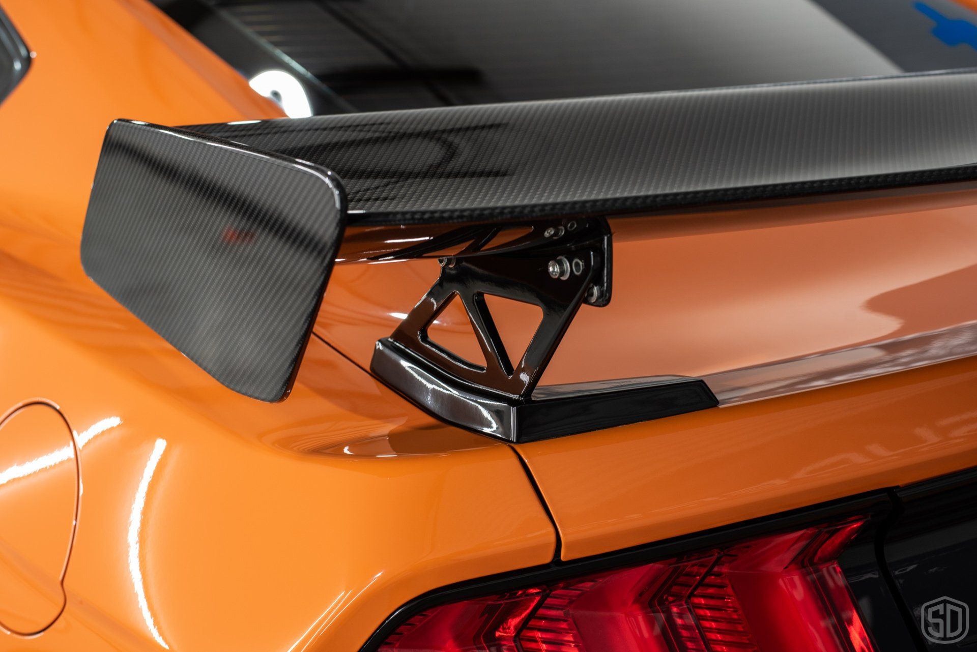 Ford Mustang GT500 Premium Detailing & Paint Correction rear fin detail Orlando, Florida