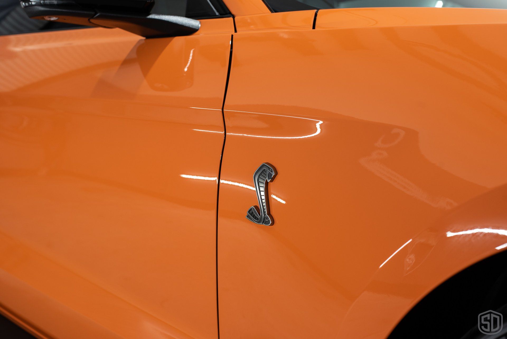 Ford Mustang GT500 Premium Detailing & Paint Correction emblem close up Florida