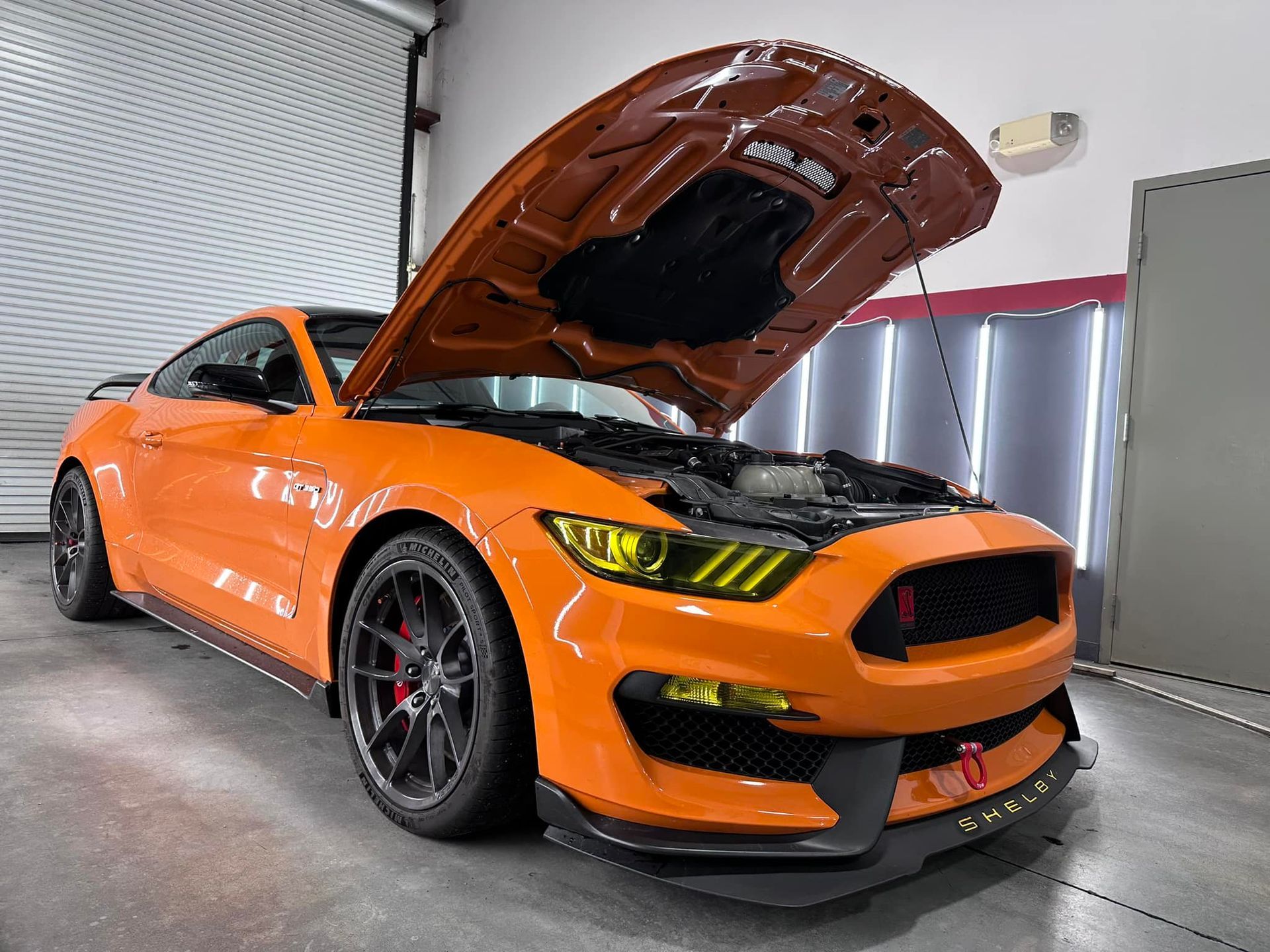 Ford Shelby GT350 Car Detailing Orlando, FL