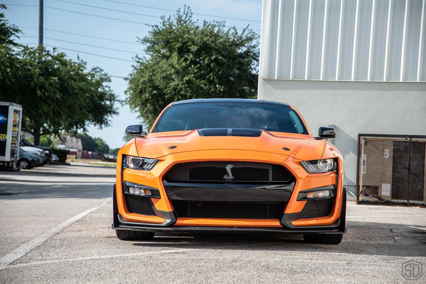 Ford Mustang GT500 car detailing orlando Florida