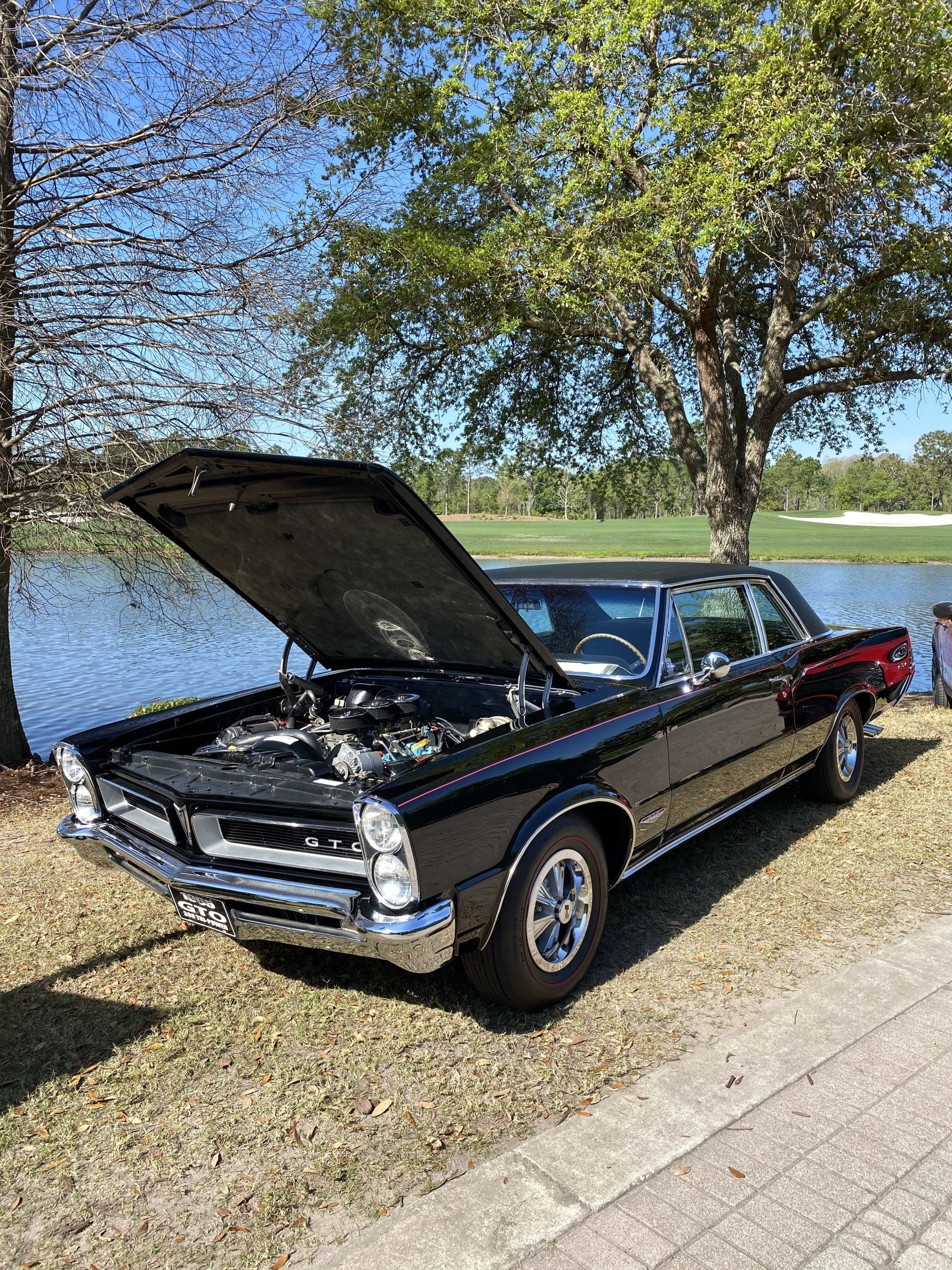 A black car with the hood up is parked next to a body of water.