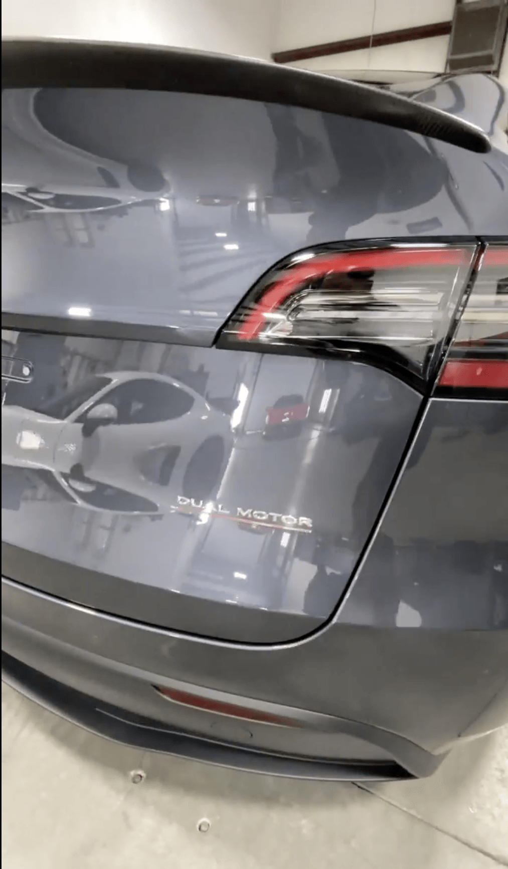 Tesla Model Y Xpel ppf and modesta protection Florida