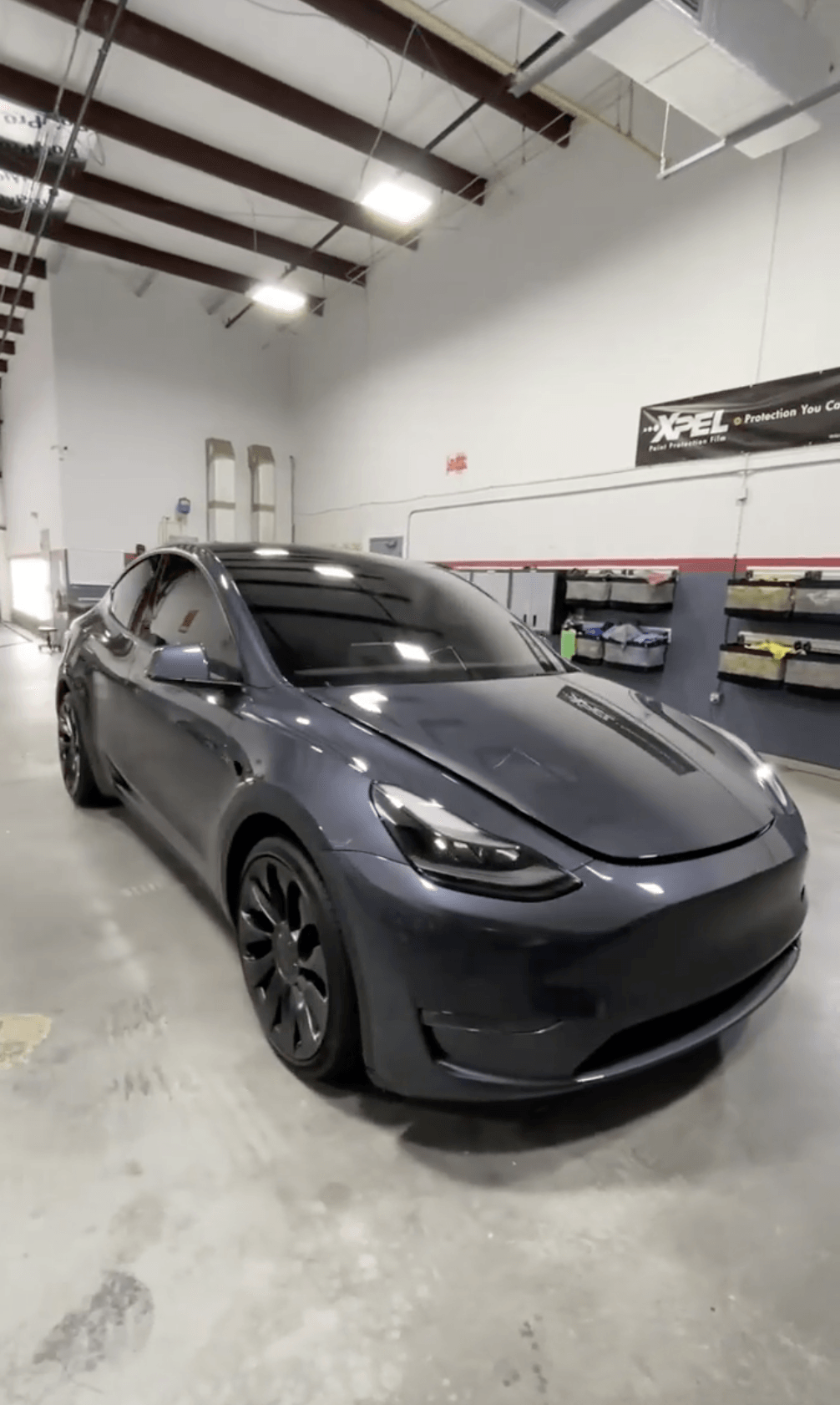 Tesla Model Y Xpel ppf and modesta protection Orlando Florida