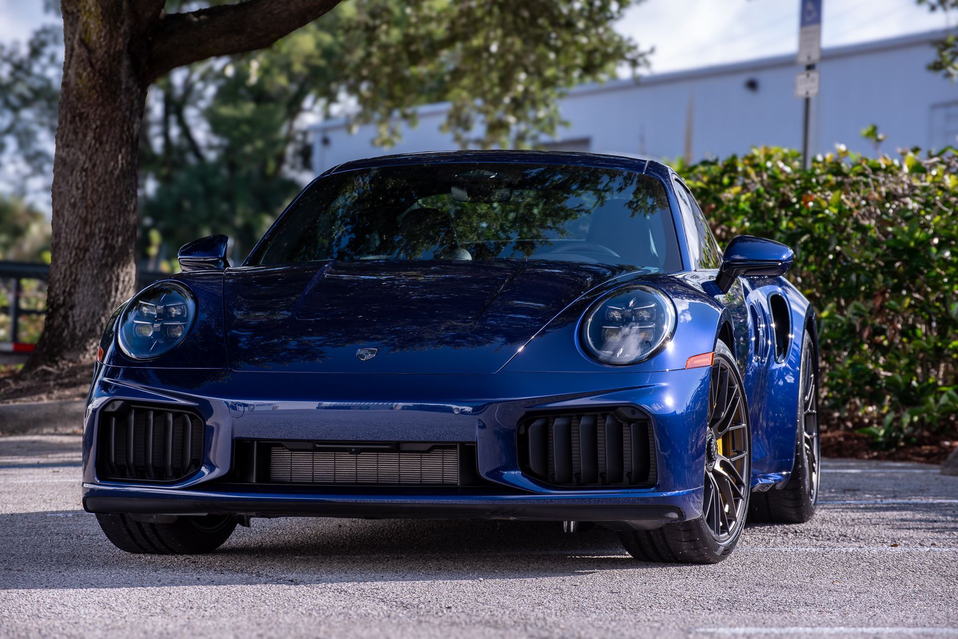 Front view of a dark blue sports car parked outdoors by bushes and a tree