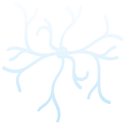 Spider Veins