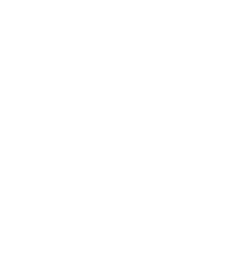 sculptpro icon