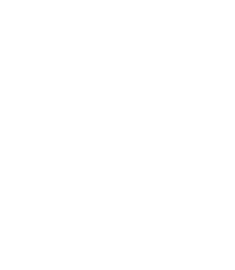 sculptpro icon