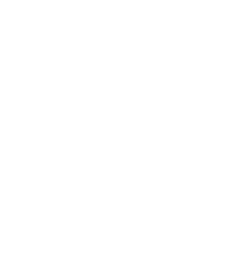 sculptpro icon