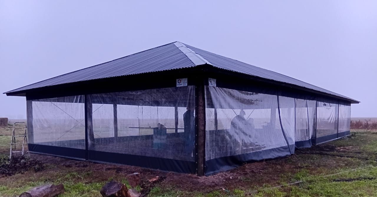 Gran invernadero con estructura negra y laterales de malla en un campo de hierba bajo un cielo nublado.