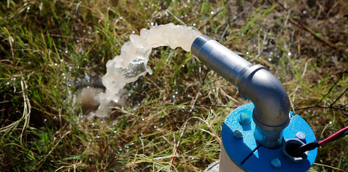 A pipe is gushing water into grass. The pipe has a blue base and bends.