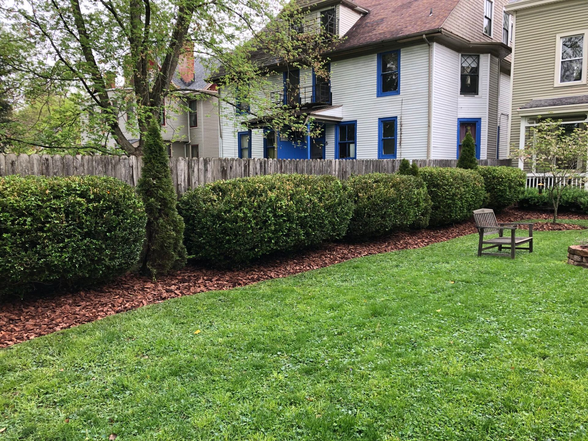Green yard with trimmed bushes and a two-story house in the background. Brown mulch border.