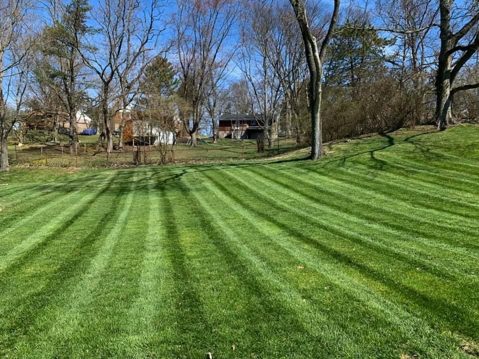 Lawn with striped pattern under a bright blue sky, trees in the background, a house visible in the distance.