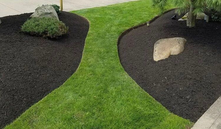 Green grass path curves through dark mulch landscaping with rocks and shrubs.