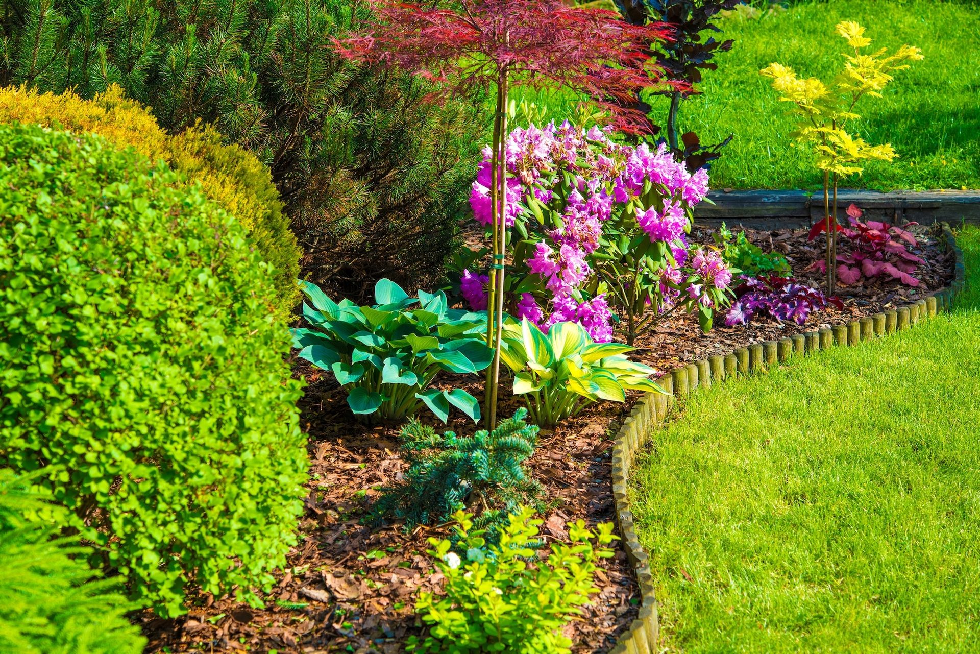 Lush garden bed with vibrant flowers, green plants, and mulch, bordered by a wooden edge, next to a grassy lawn.