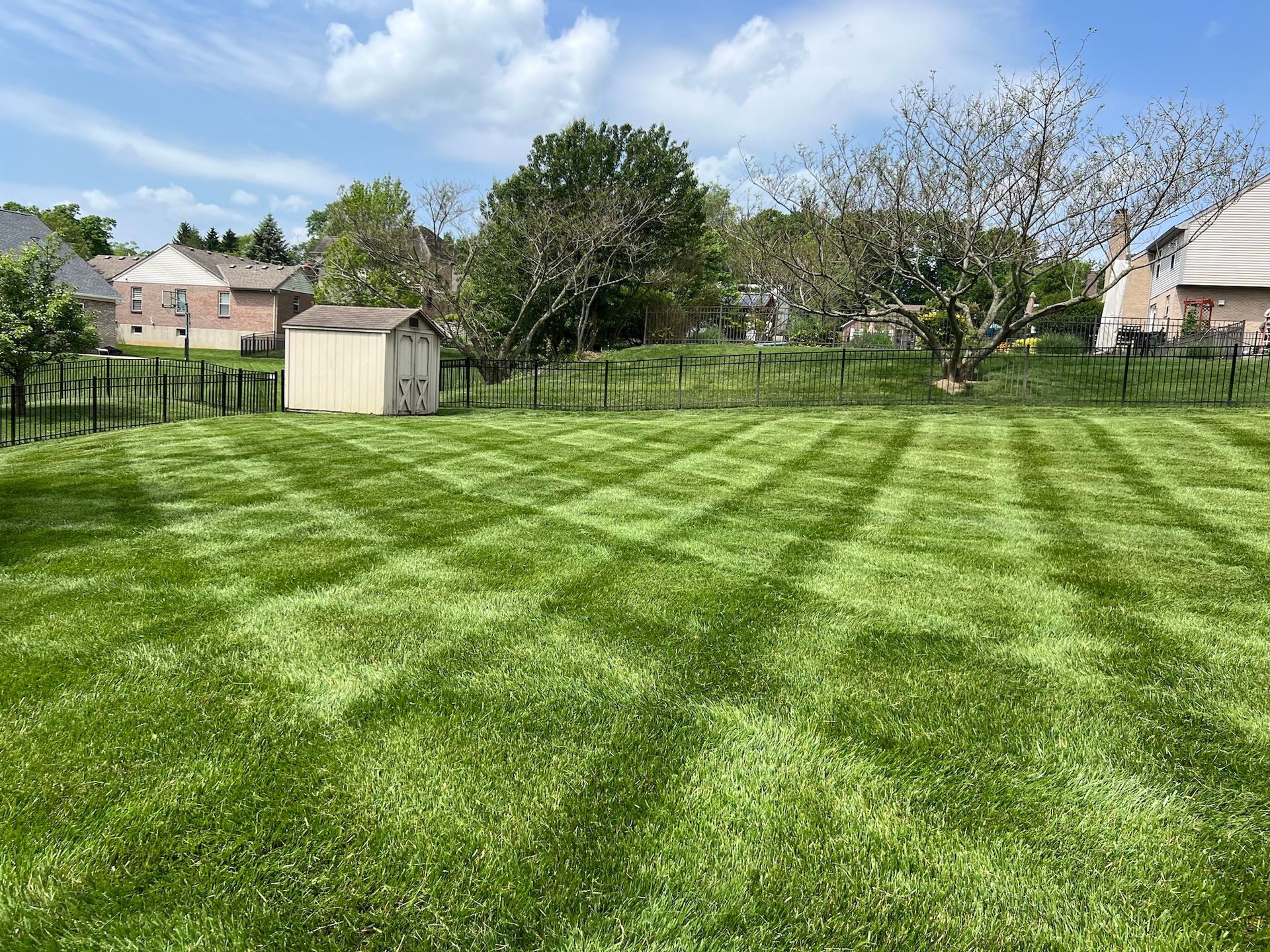 Lawn with freshly cut pattern in green grass. A shed and trees sit at the back. Cloudy blue sky.
