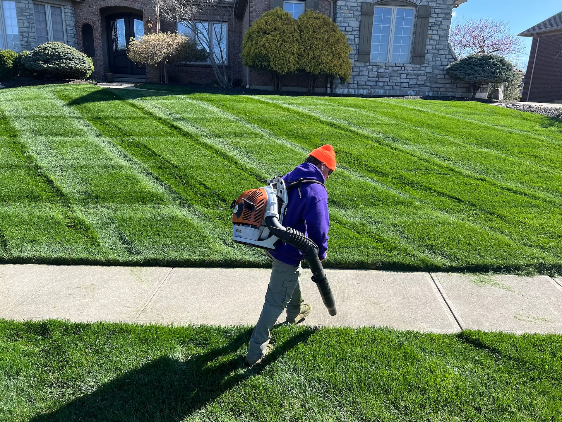 Person in orange hat using a leaf blower on a lawn with striped grass and a sidewalk.