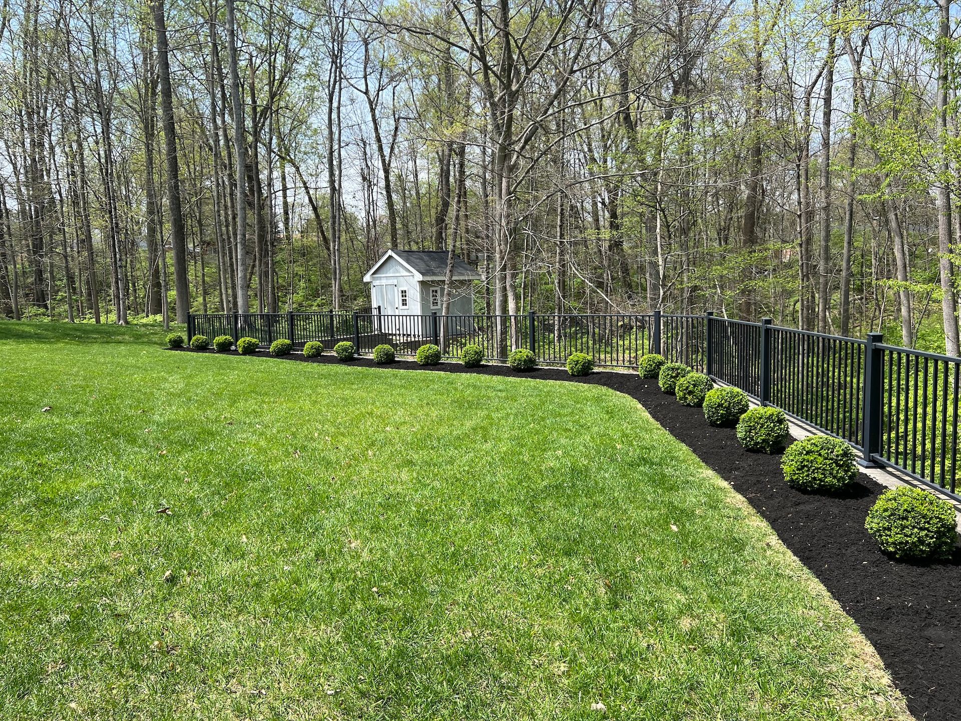 Lush green lawn with a black fence, mulch bed, and small white shed in the woods.