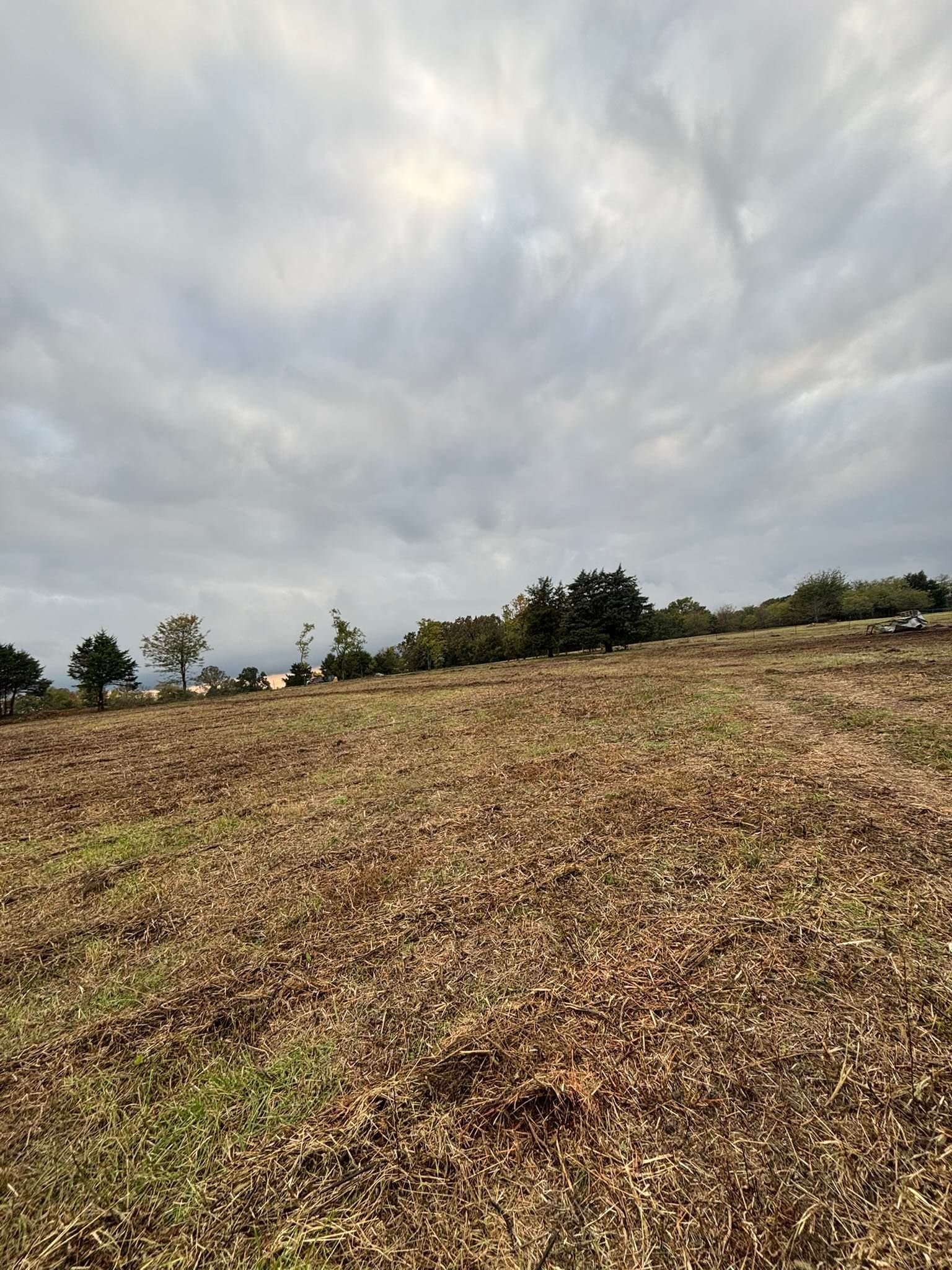 Field covered in brown foliage with trees and overcast sky.