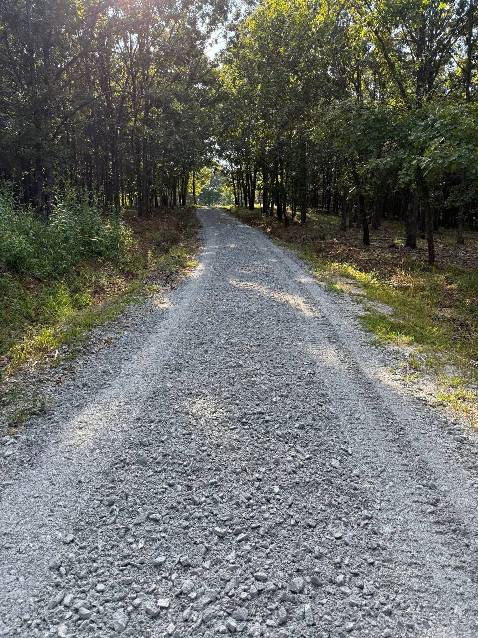 Gravel path winding through a sunlit forest. Trees line both sides, creating a natural tunnel.