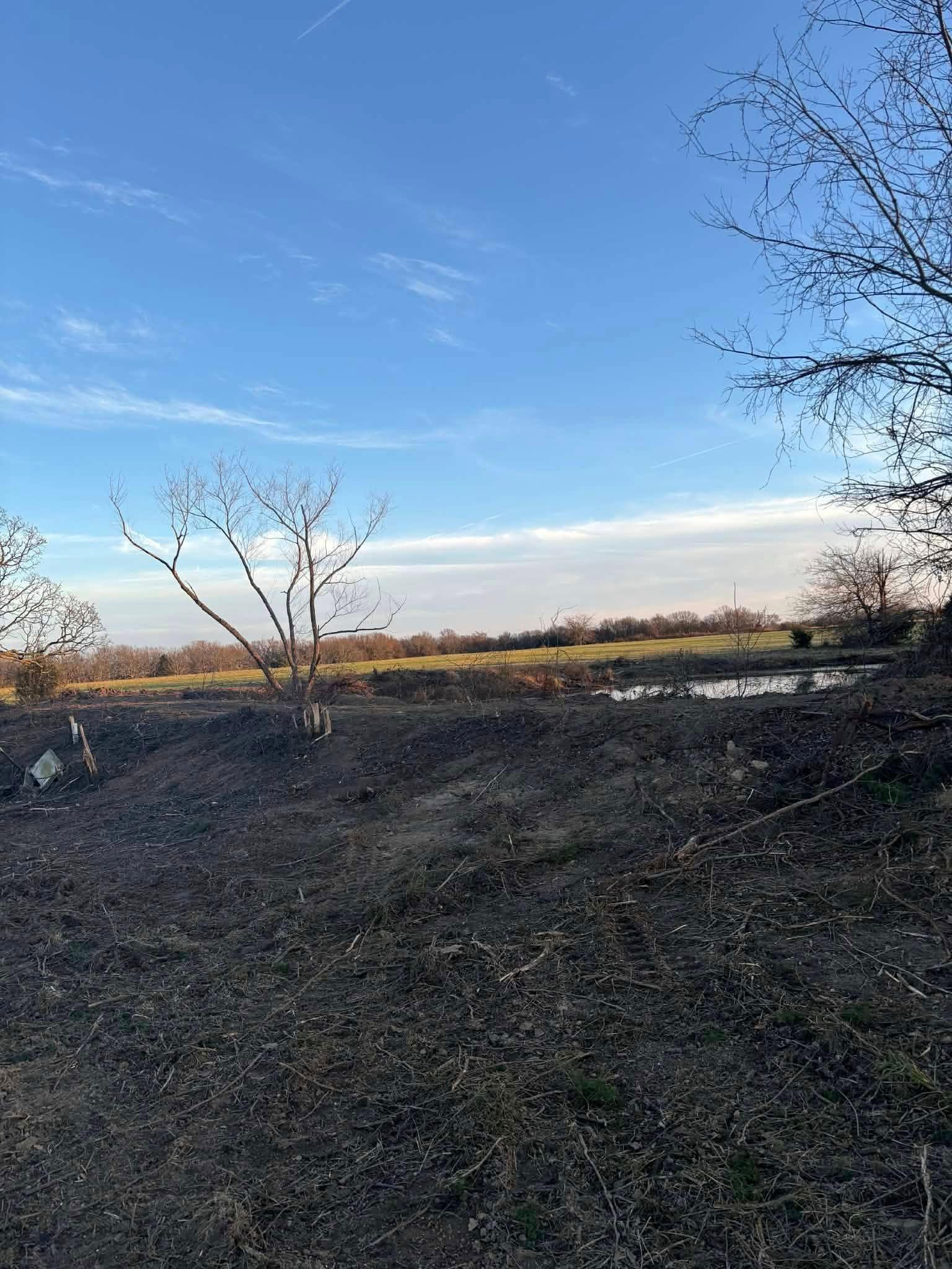 View of a burnt field, pond, and bare trees under a blue sky with clouds.