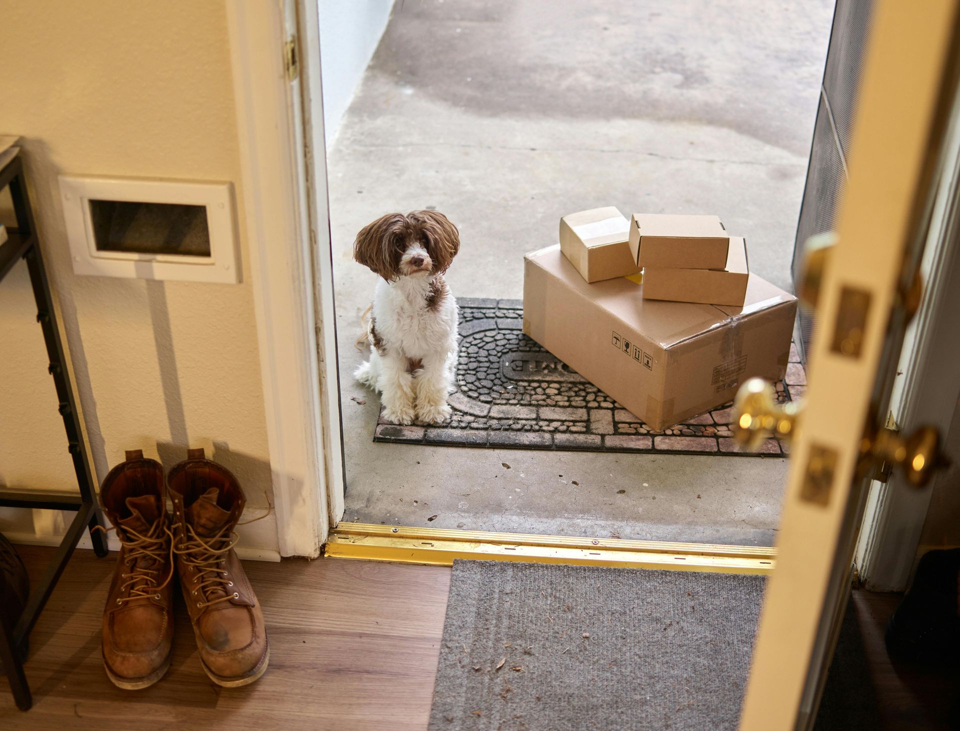 Little dog at the door with a a stack of parcels.
