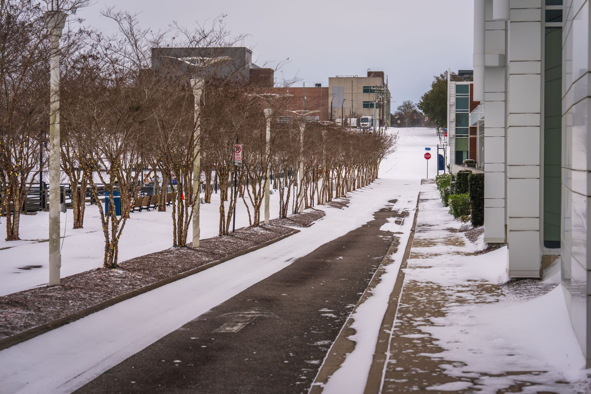 Urban street covered in snow, showcasing winter scenery in a city setting with bare trees.