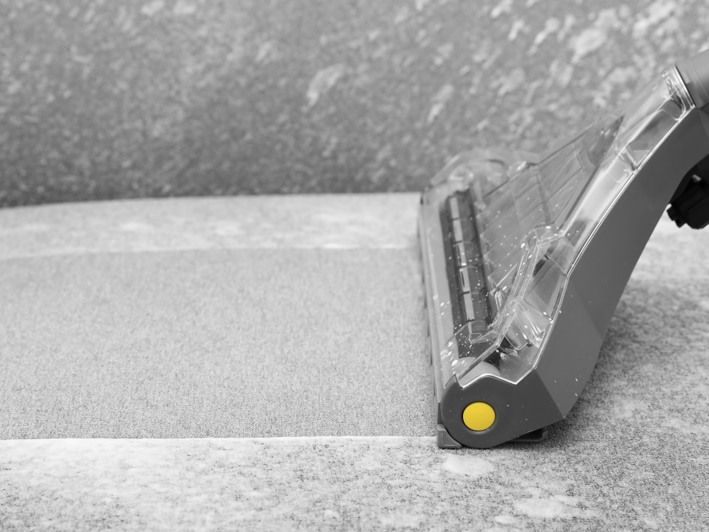 upholstery cleaning