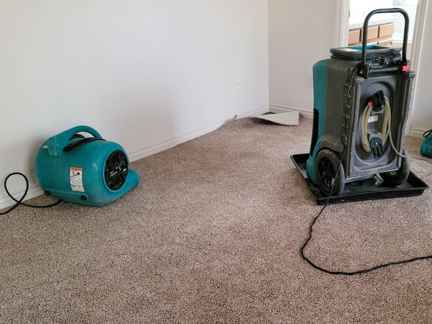 water damage service