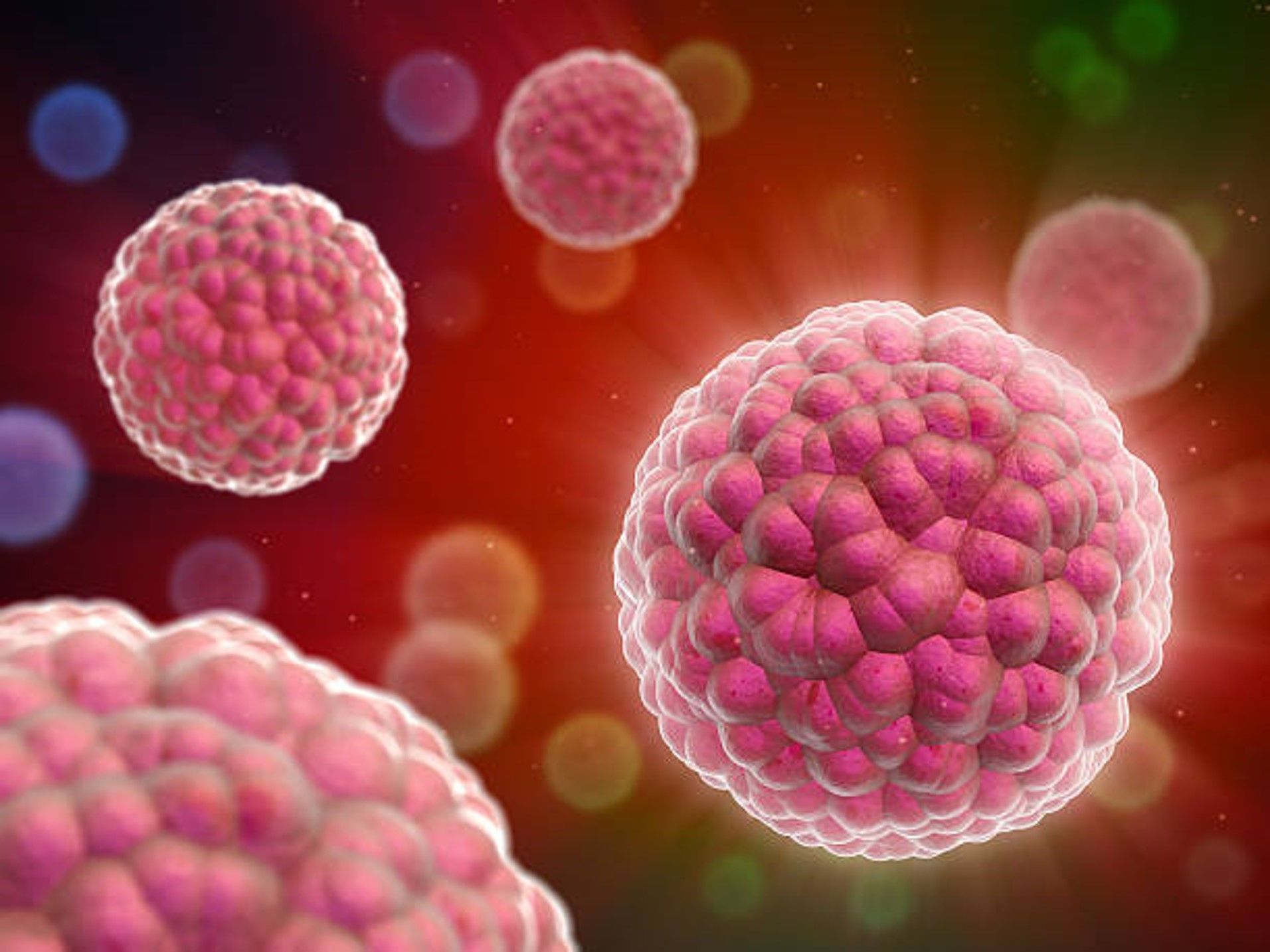 CAL/CAR T Cell Therapy targets