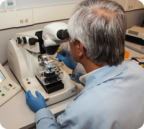 Type 1 Diabetes Research