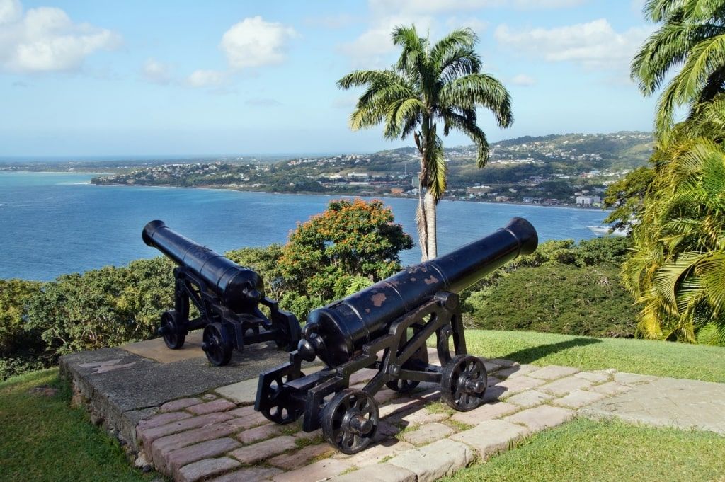 Two cannons are sitting on top of a hill overlooking the ocean.