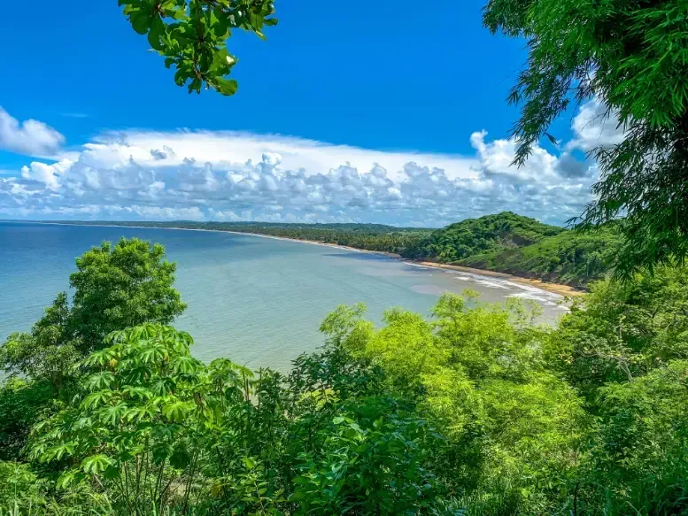 a view of a beach in Tobago surrounded by trees and a body of water .