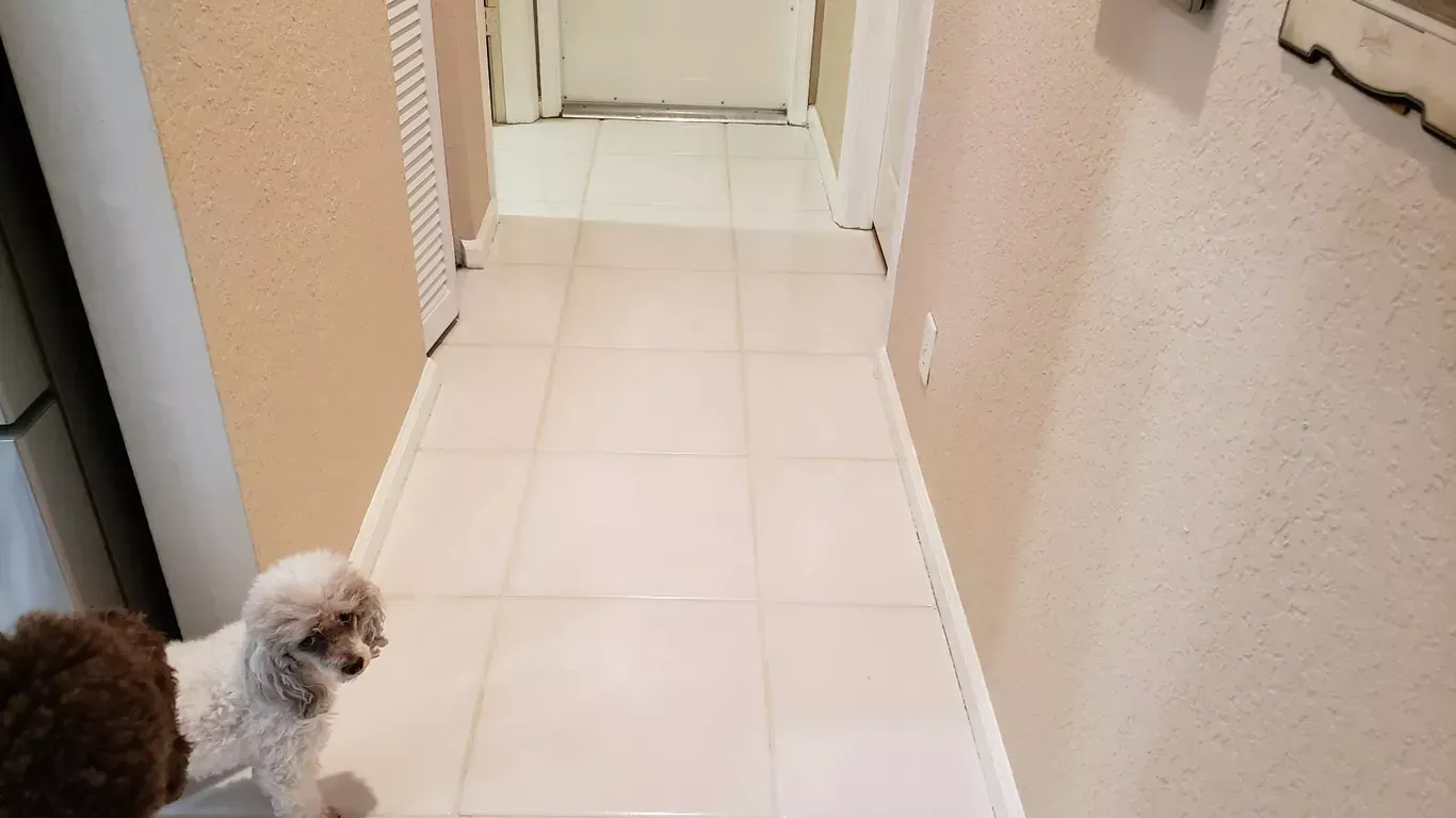 Small white dog standing in a narrow tiled hallway near a doorway
