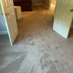 A room with light-colored carpet and open white doors. The carpet appears stained.