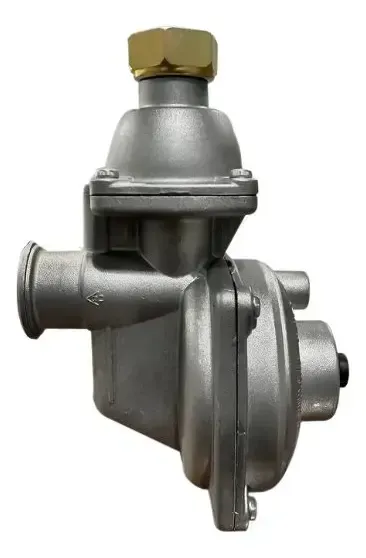 KIT REGULADOR PARA GAS NATURAL DINATECNICA -REGULADOR+ FLEXIBLE CAFIR- 10M3