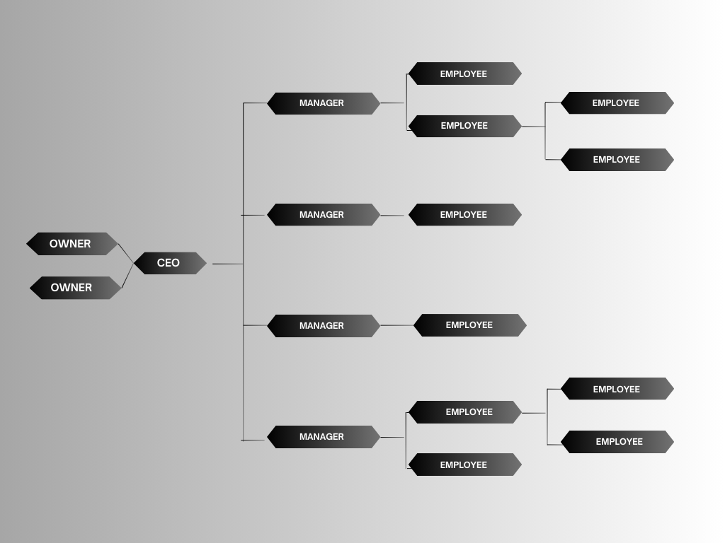 Organisational Chart