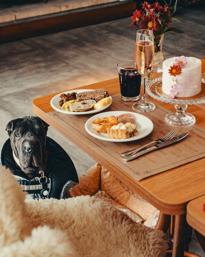 Hotel Refúgio da Montanha - PET FRIENDLY