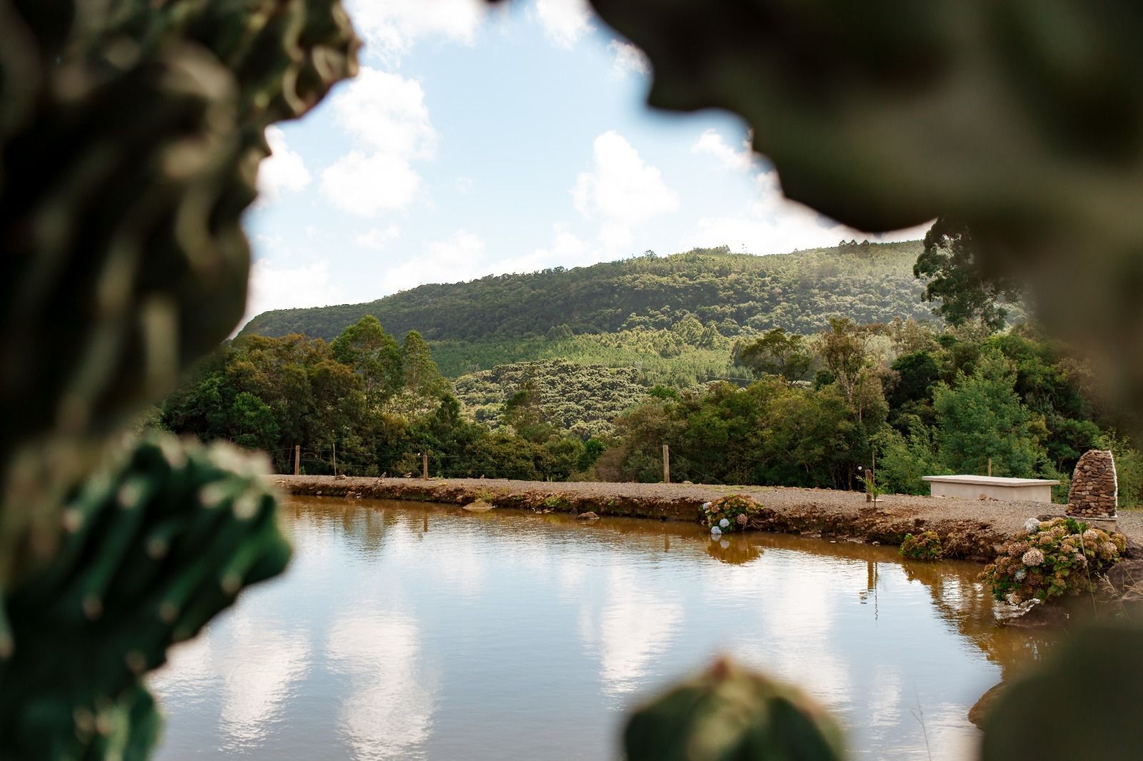 Lagoa serena refletindo as nuvens, com uma encosta verdejante e árvores ao fundo, emoldurada por folhagem difusa.