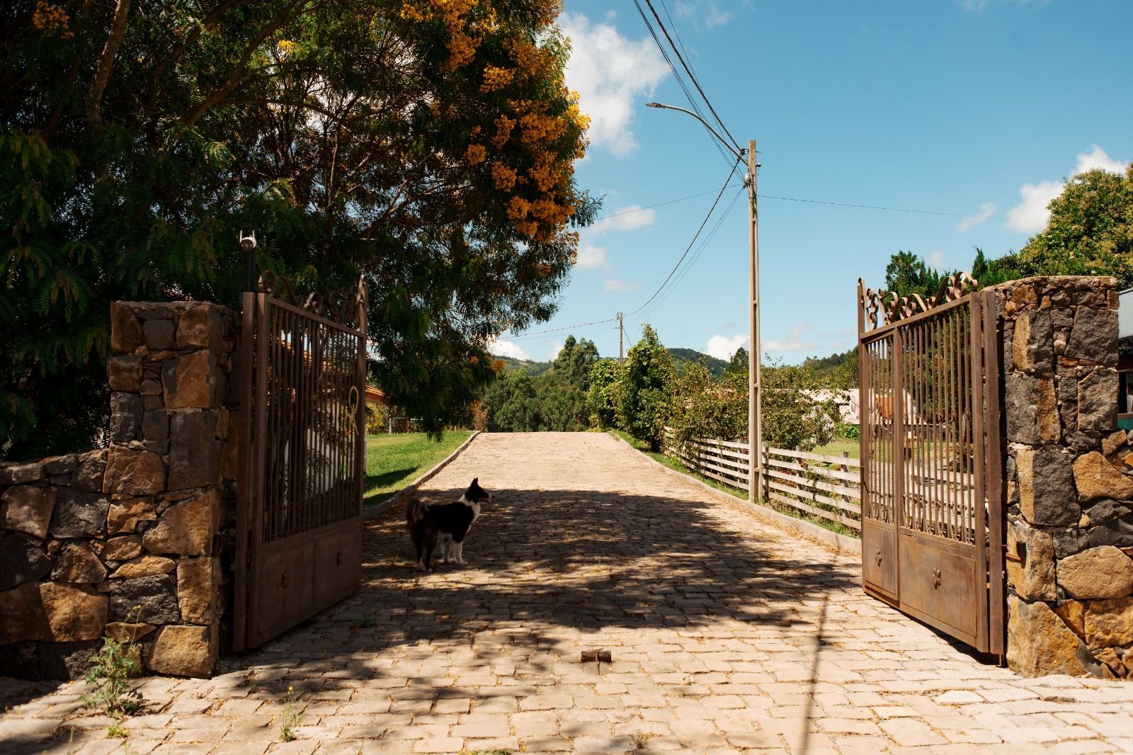 Portão de pedra aberto que dá para um caminho rural ensolarado, com um pequeno cão preto caminhando por ali.