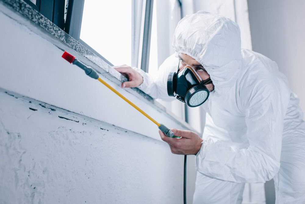 Person in Protective Suit — Scott MacTaggart Building & Pest Inspections In Old Bar, NSW