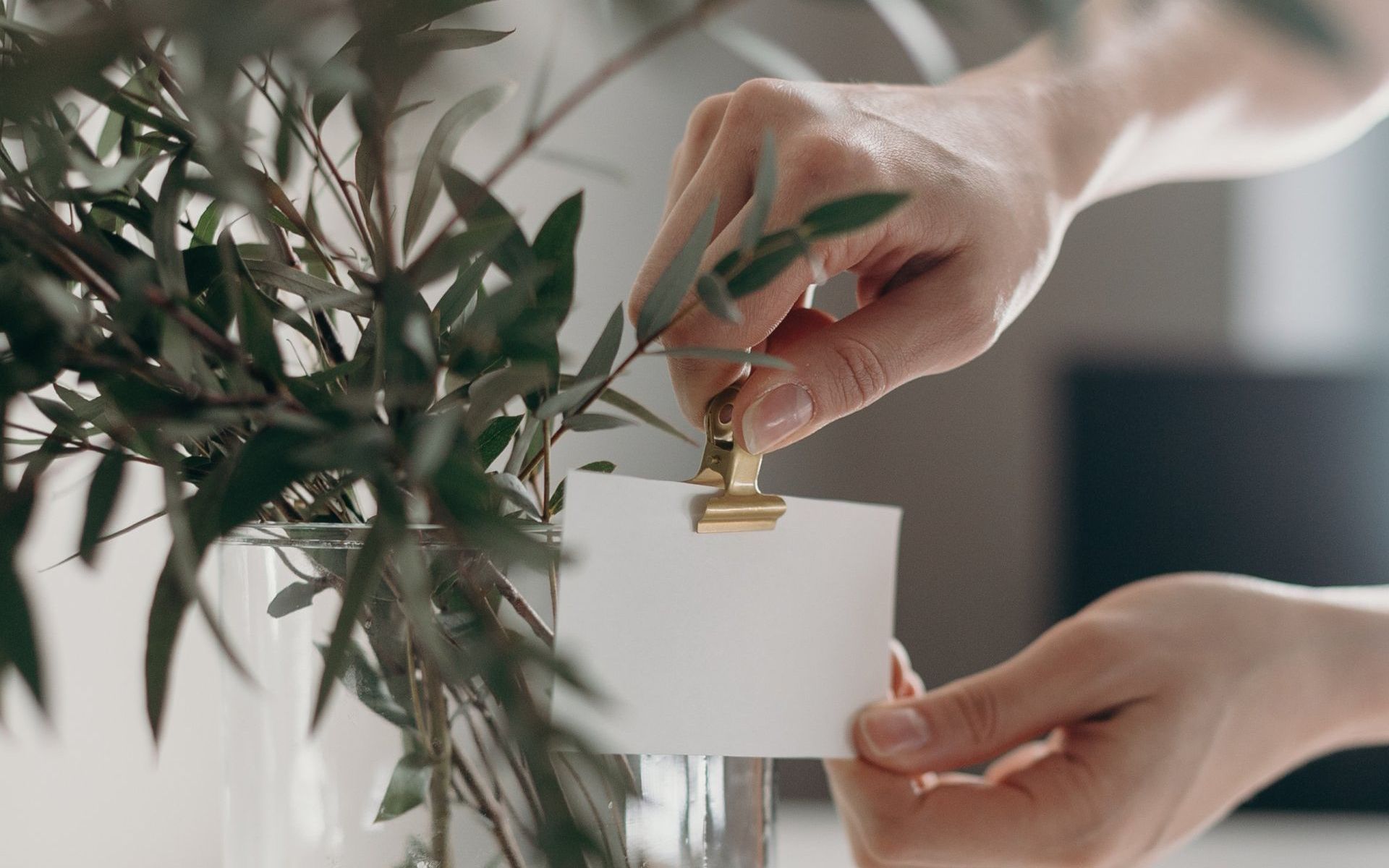 Hands pin a label in front of a green plant