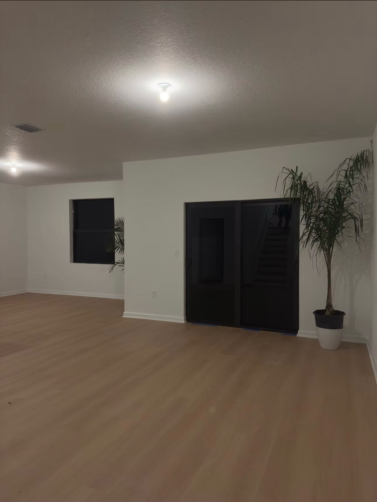 Empty room with light wood floors, white walls, black double doors, and a potted palm near the corner.