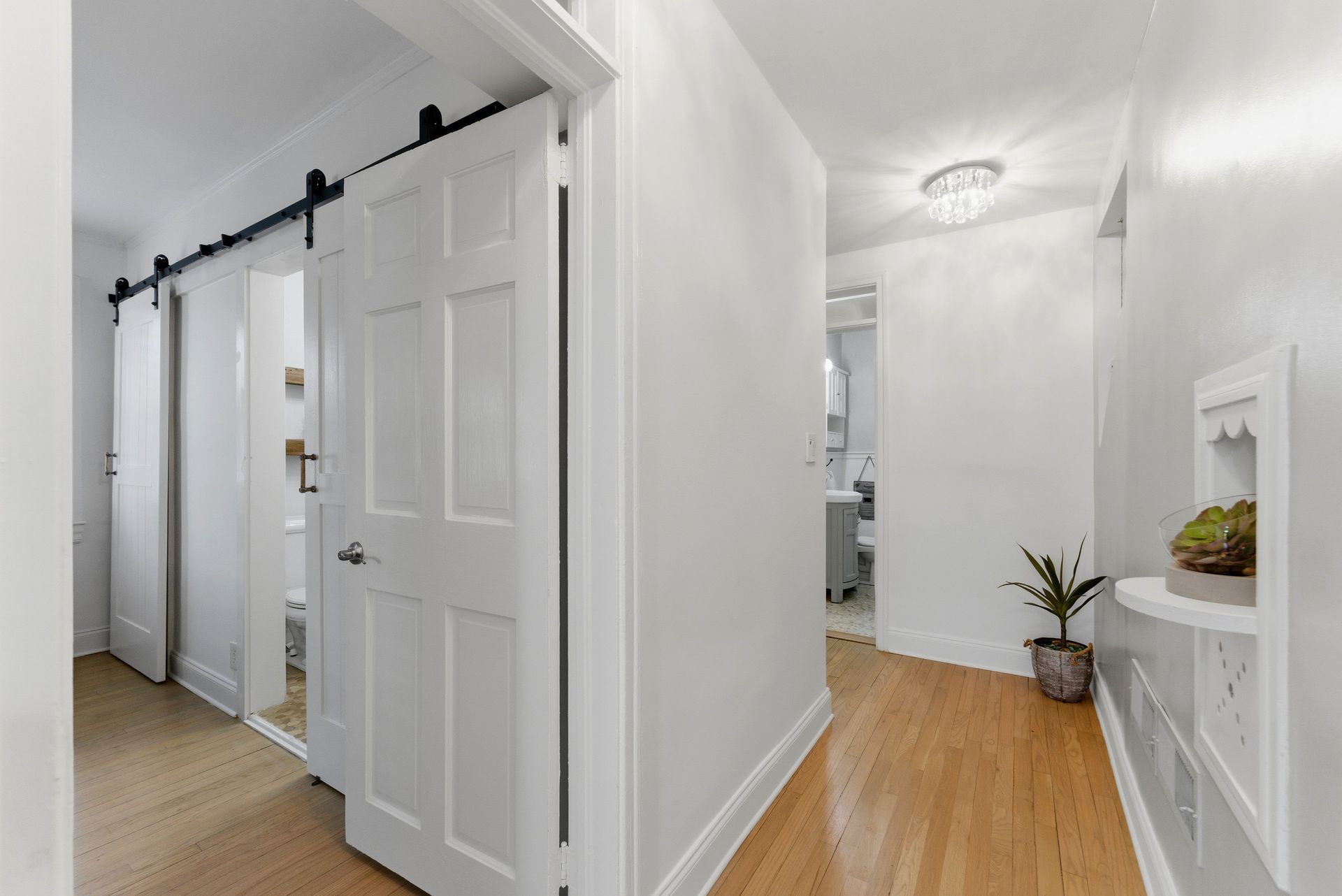 Hallway with white walls, a sliding barn door, hardwood floors, a small potted plant, and a built-in wall shelf.