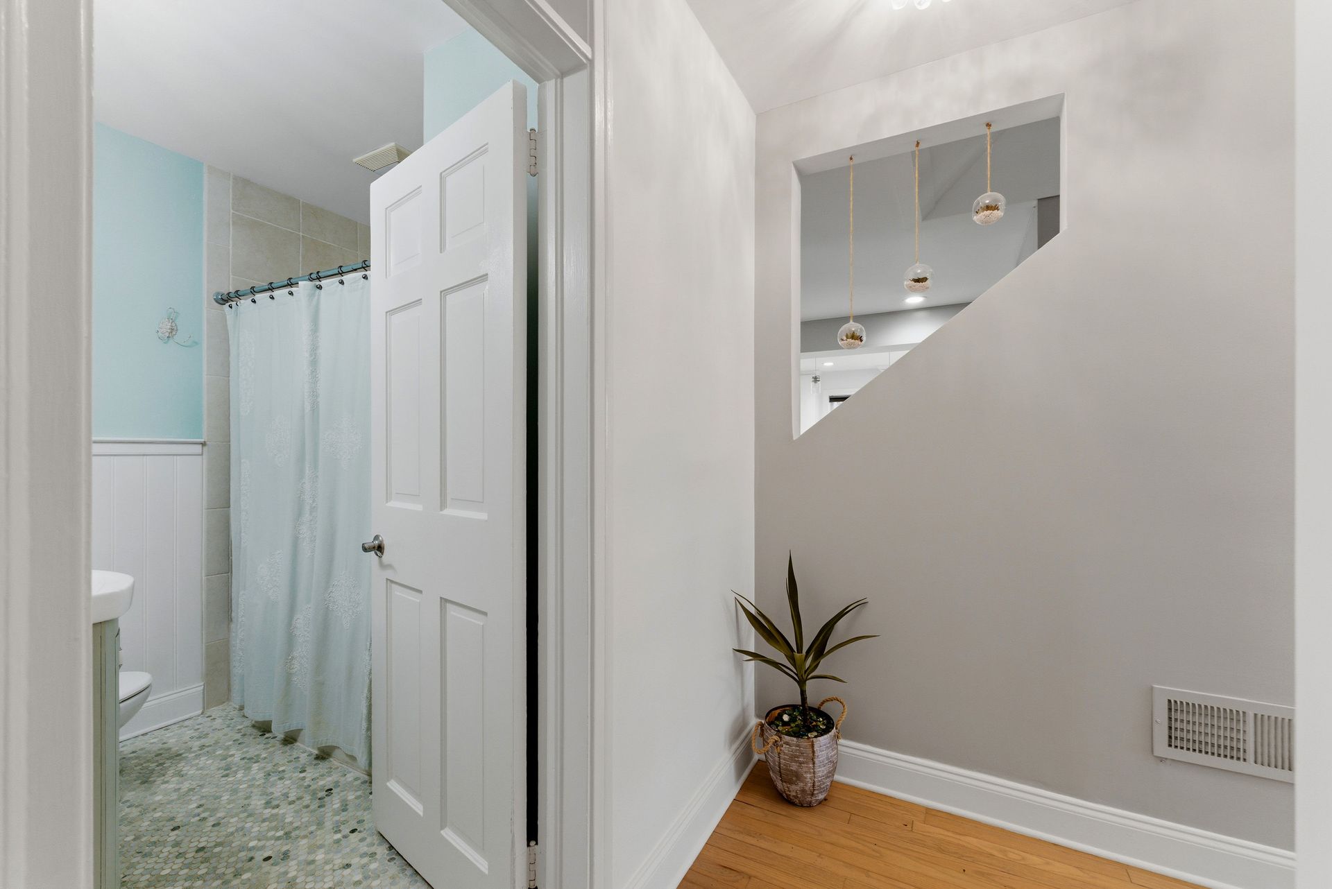 A view of a bathroom with a light blue shower curtain and a hallway with a potted plant and a decorative wall cutout.