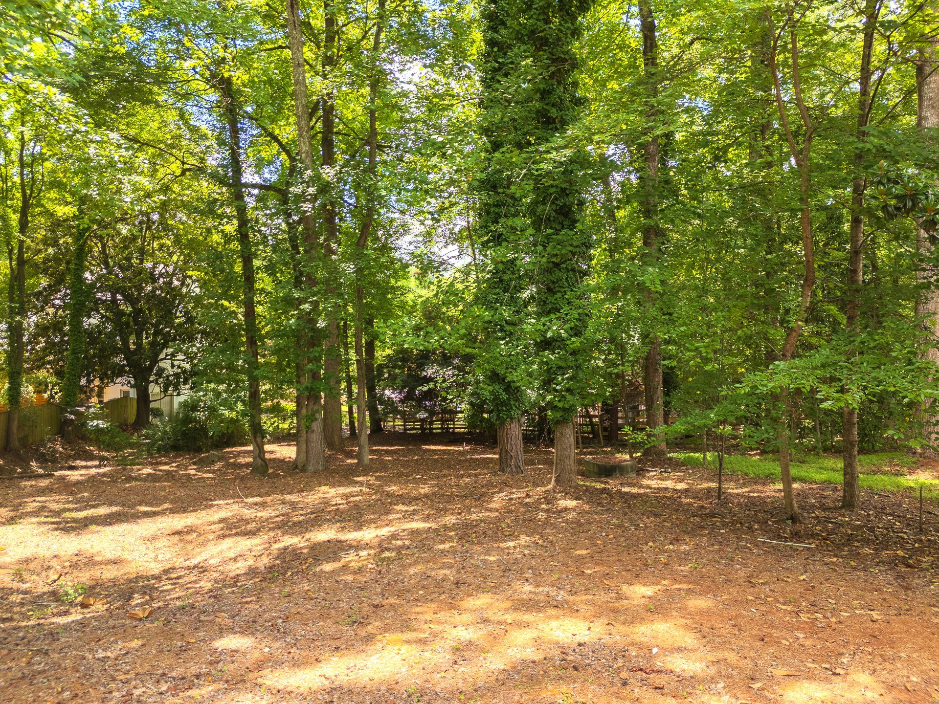 There is a lot of leaves on the ground in the middle of the woods.