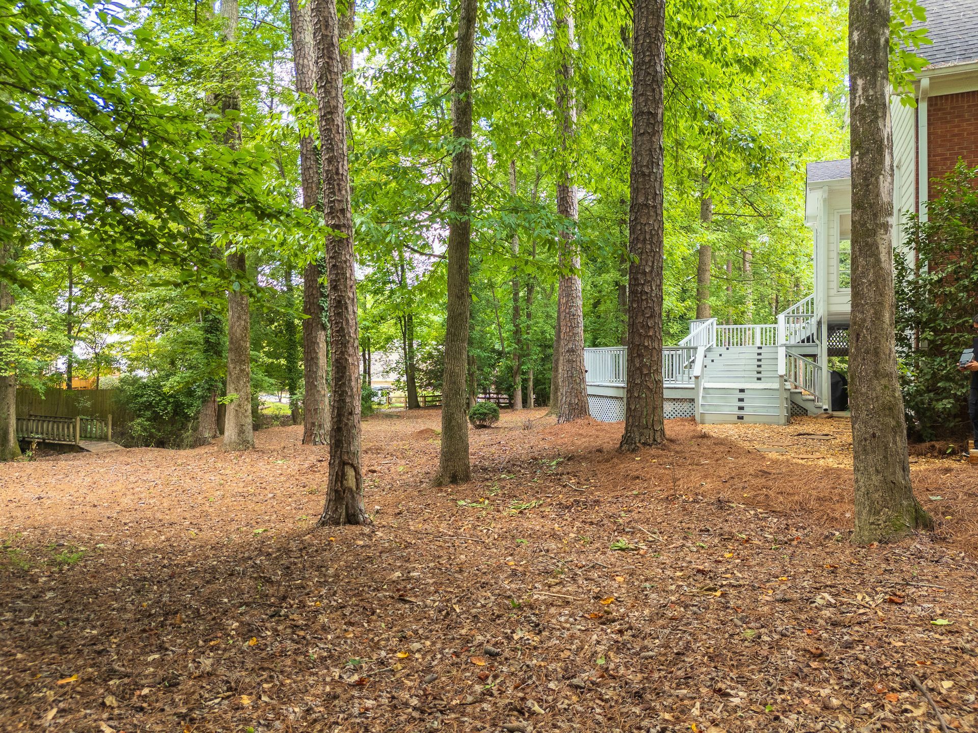 There is a house in the background and a lot of leaves on the ground.