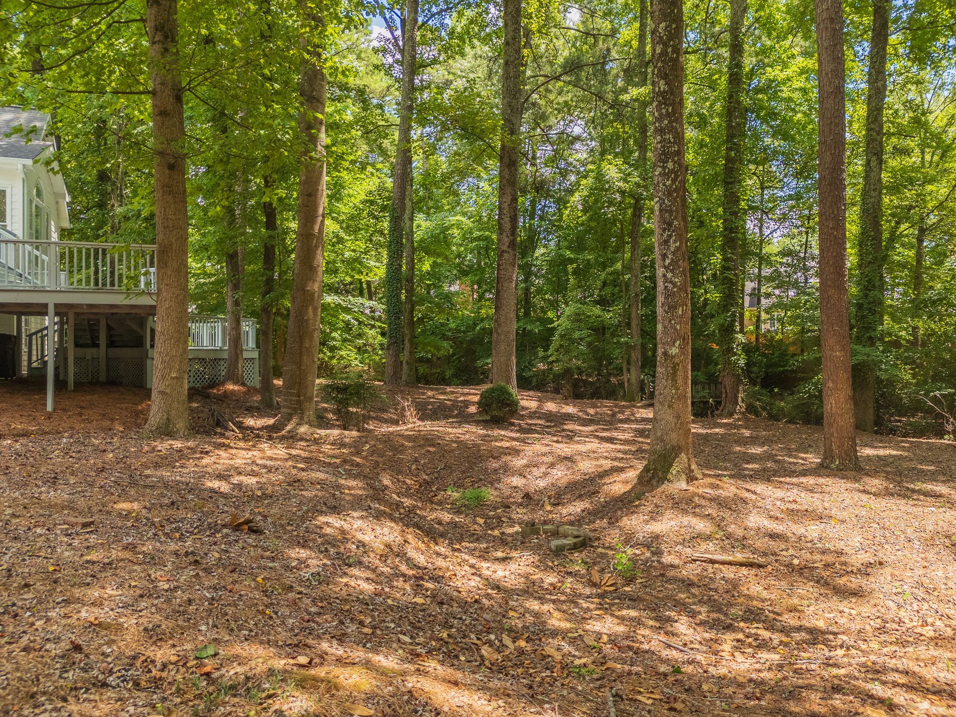 A house is sitting in the middle of a forest surrounded by trees.