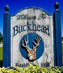 A welcome sign for buckhead , florida with a deer head on it.