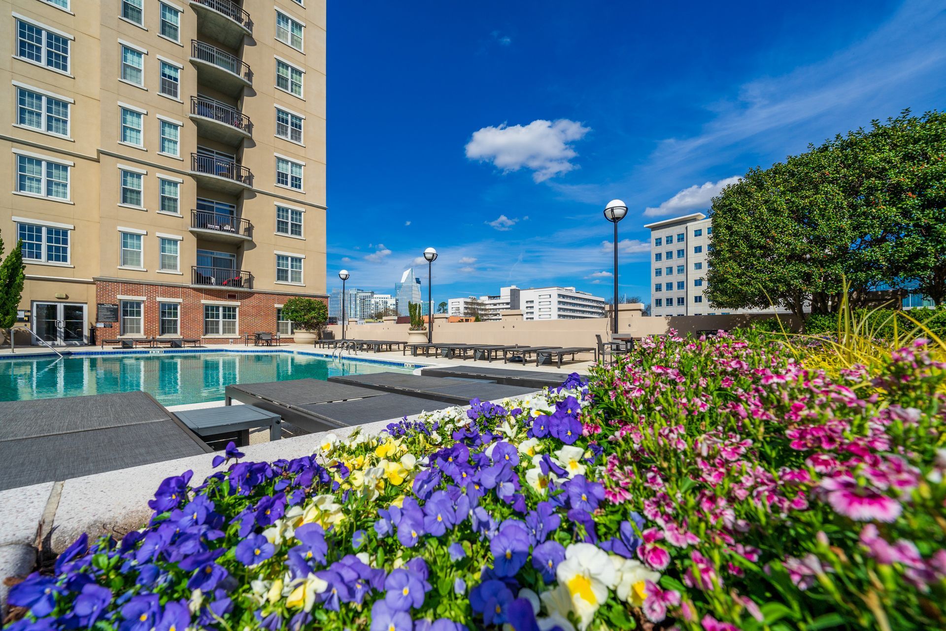 A swimming pool surrounded by flowers in front of a building.