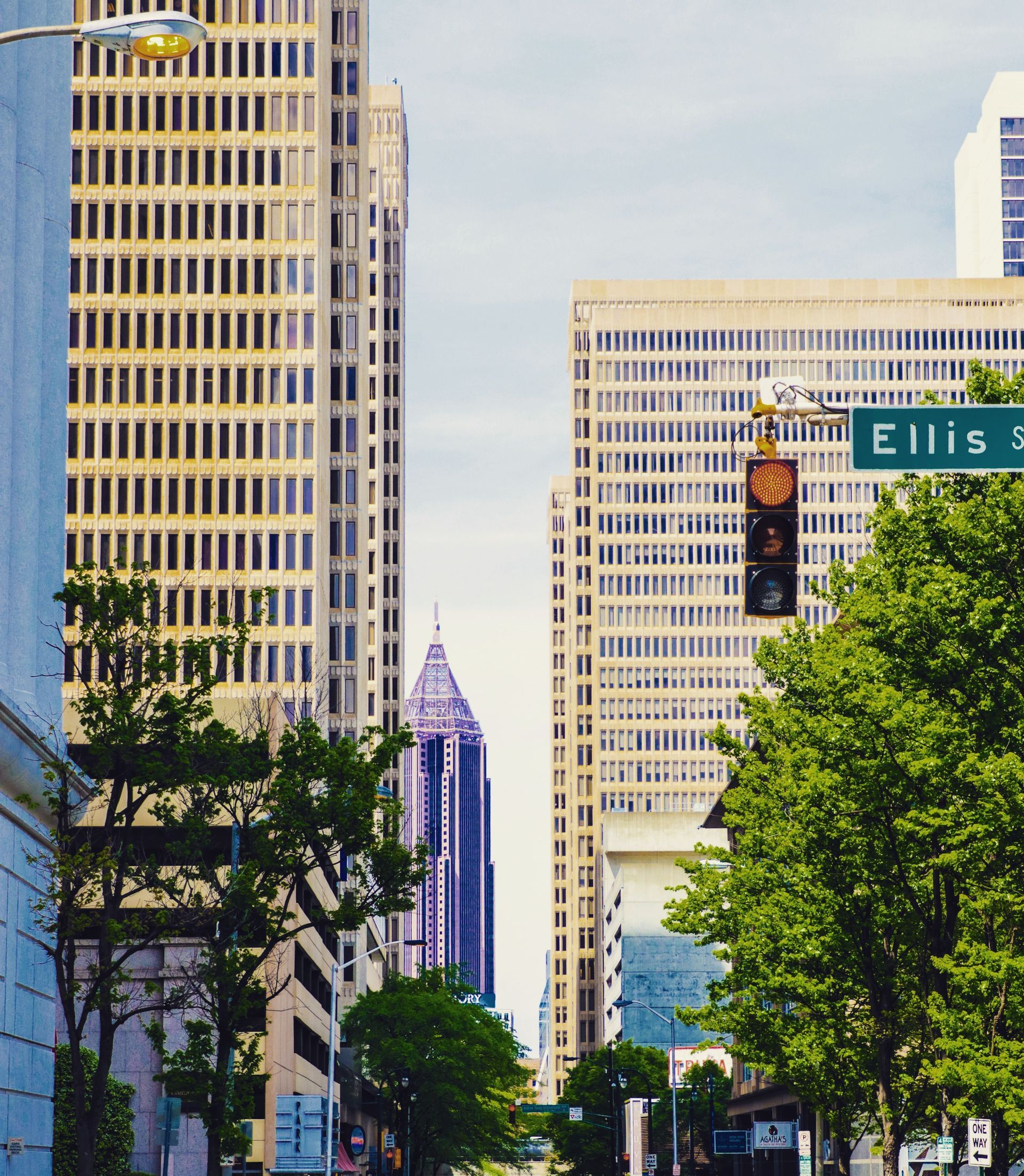Downtown city street with tall office buildings, leafy trees, and an Ellice Street sign.